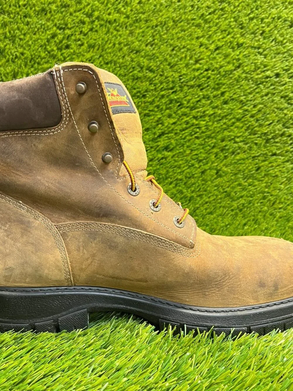 Thorogood Genesis Series 6